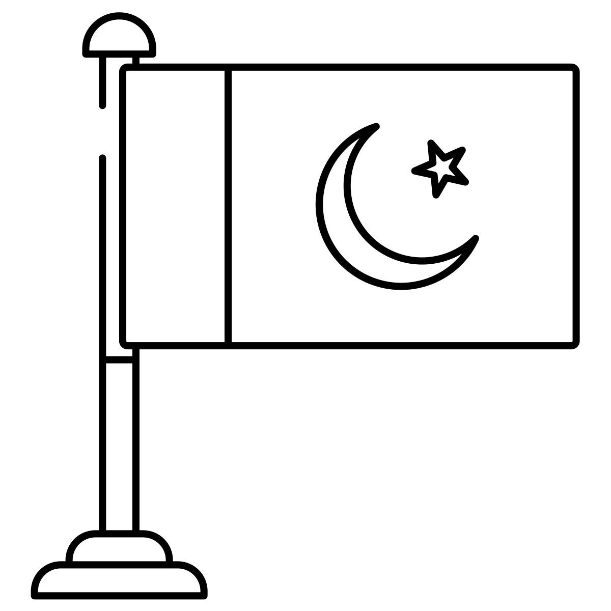 pakistan flag icon
