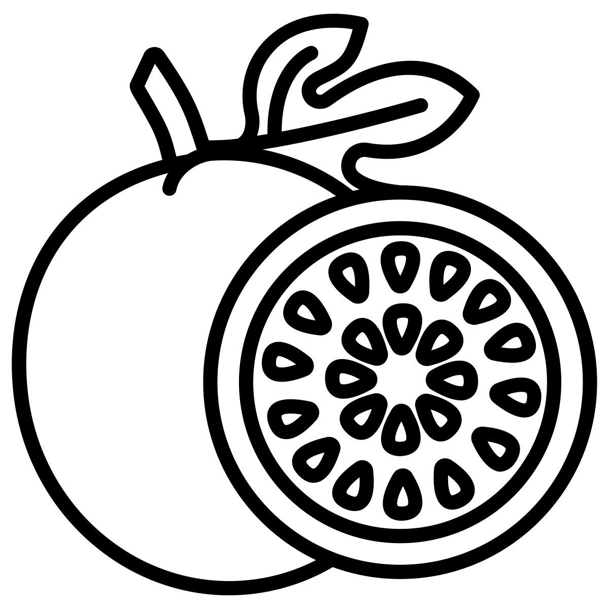 passion fruit icon