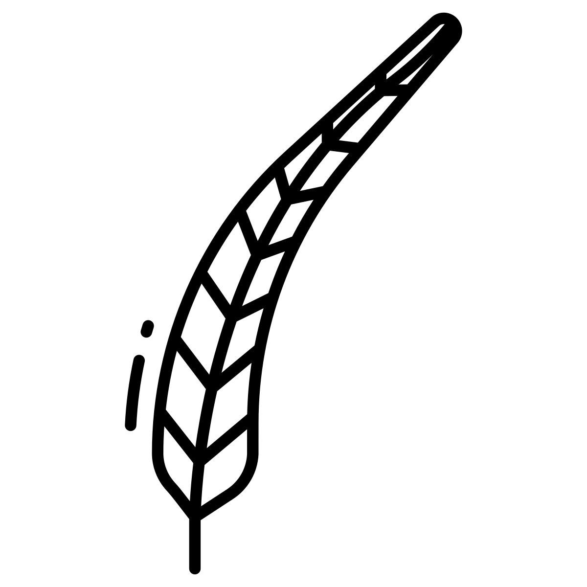 pheasant feather icon