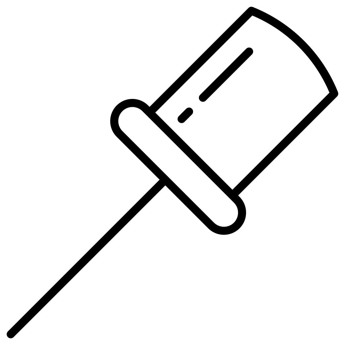 pin icon