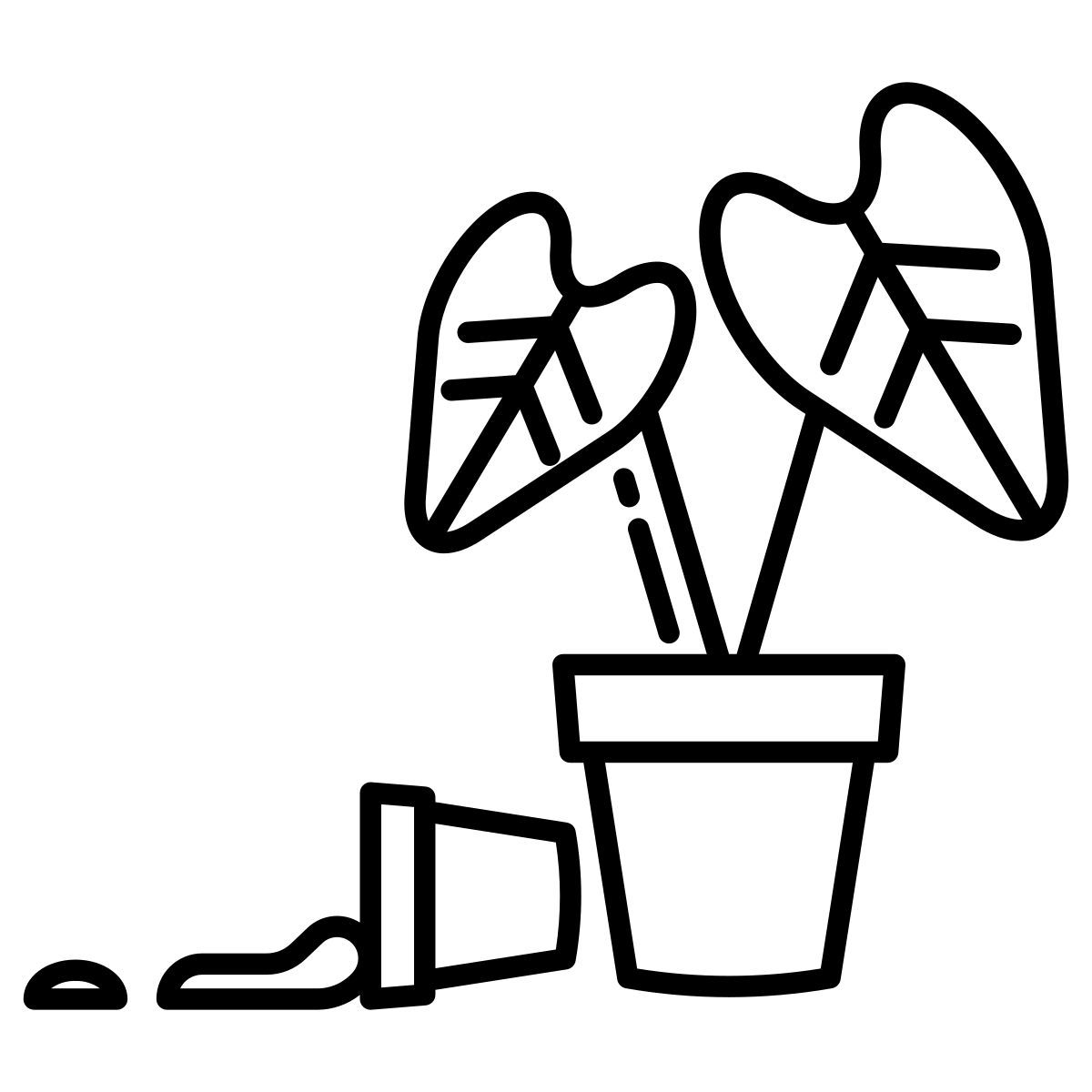 plant icon