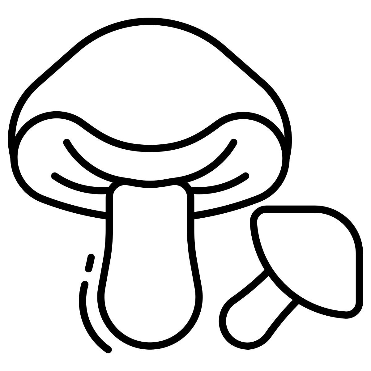 porcini mushrooms icon