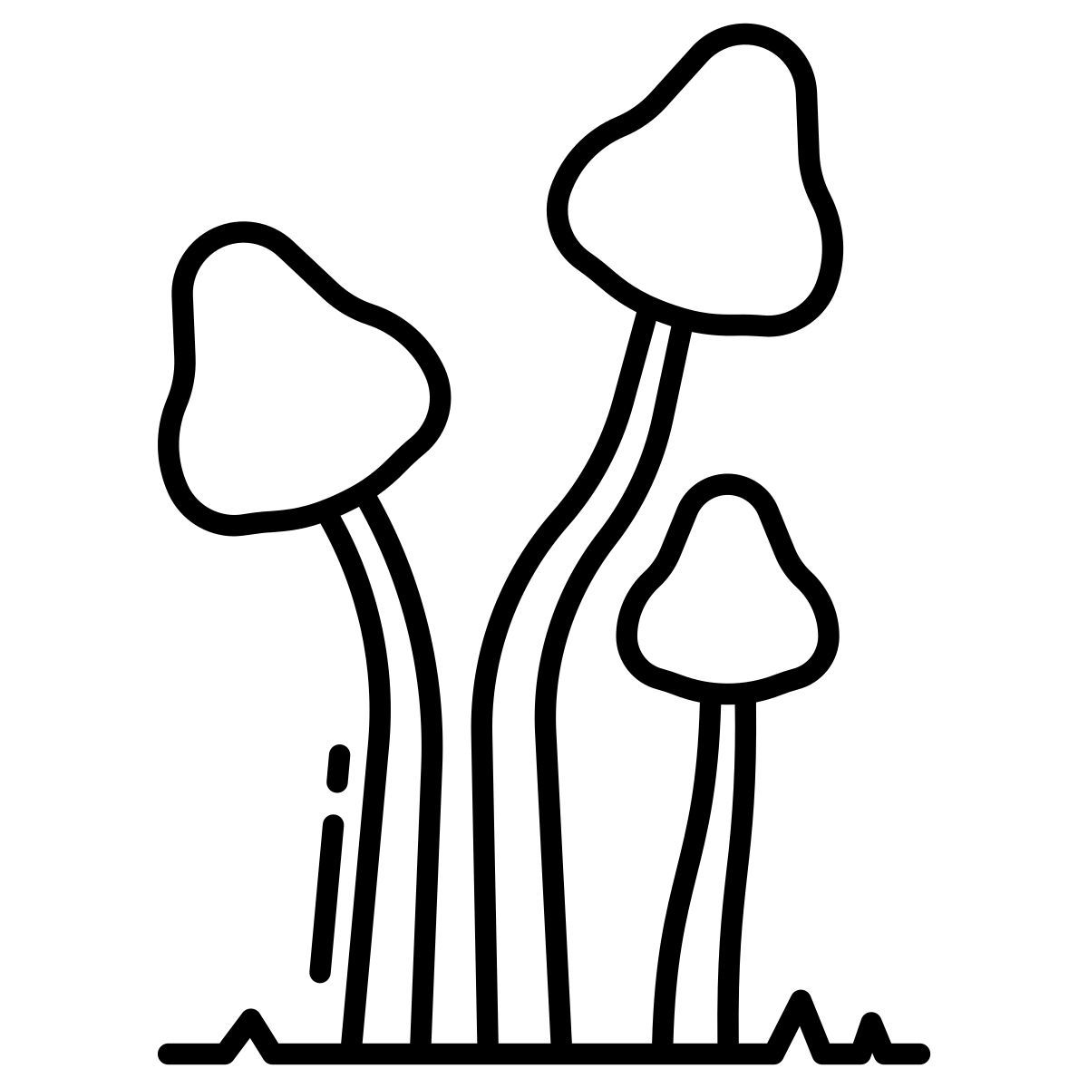 psilocybe semilanceata icon