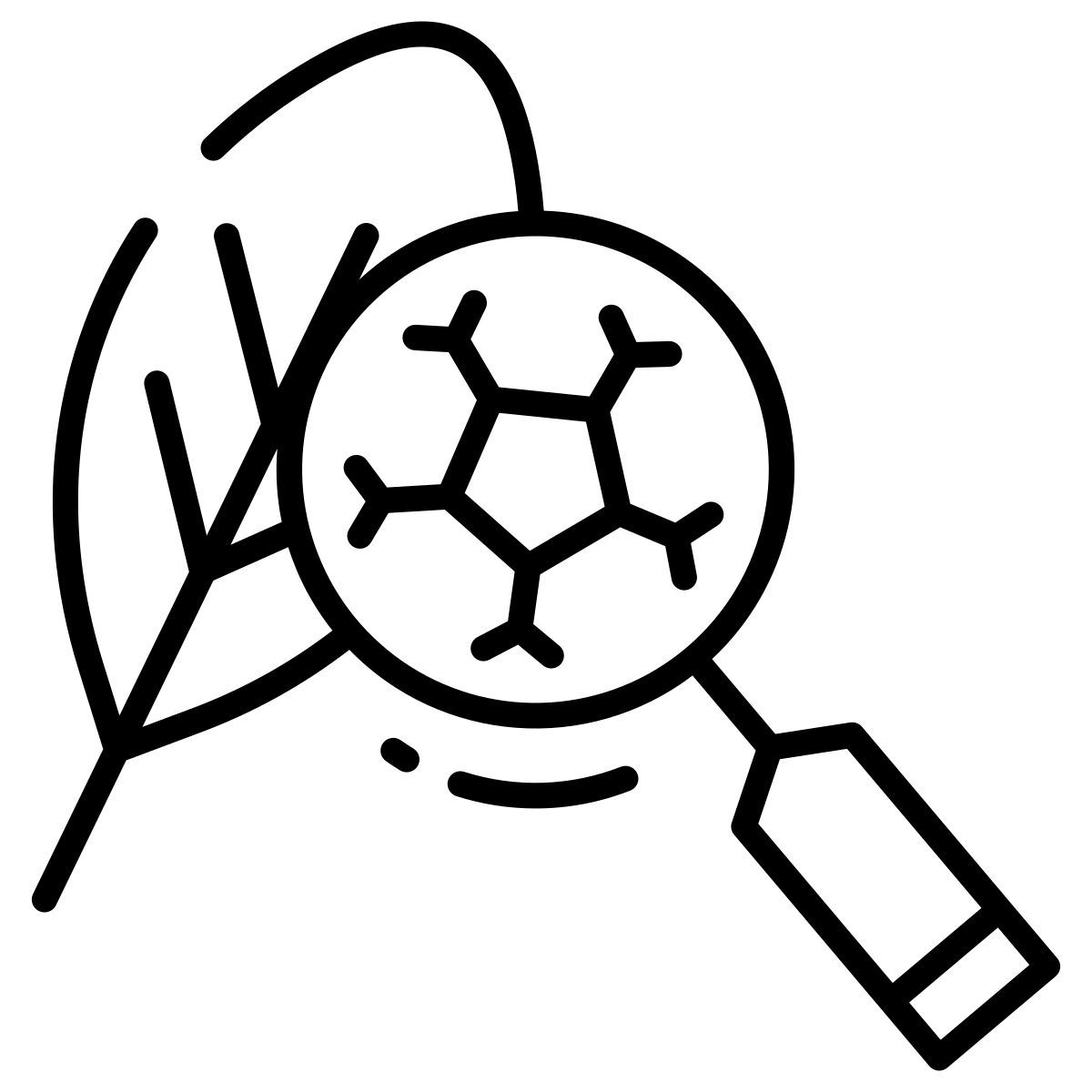 research icon