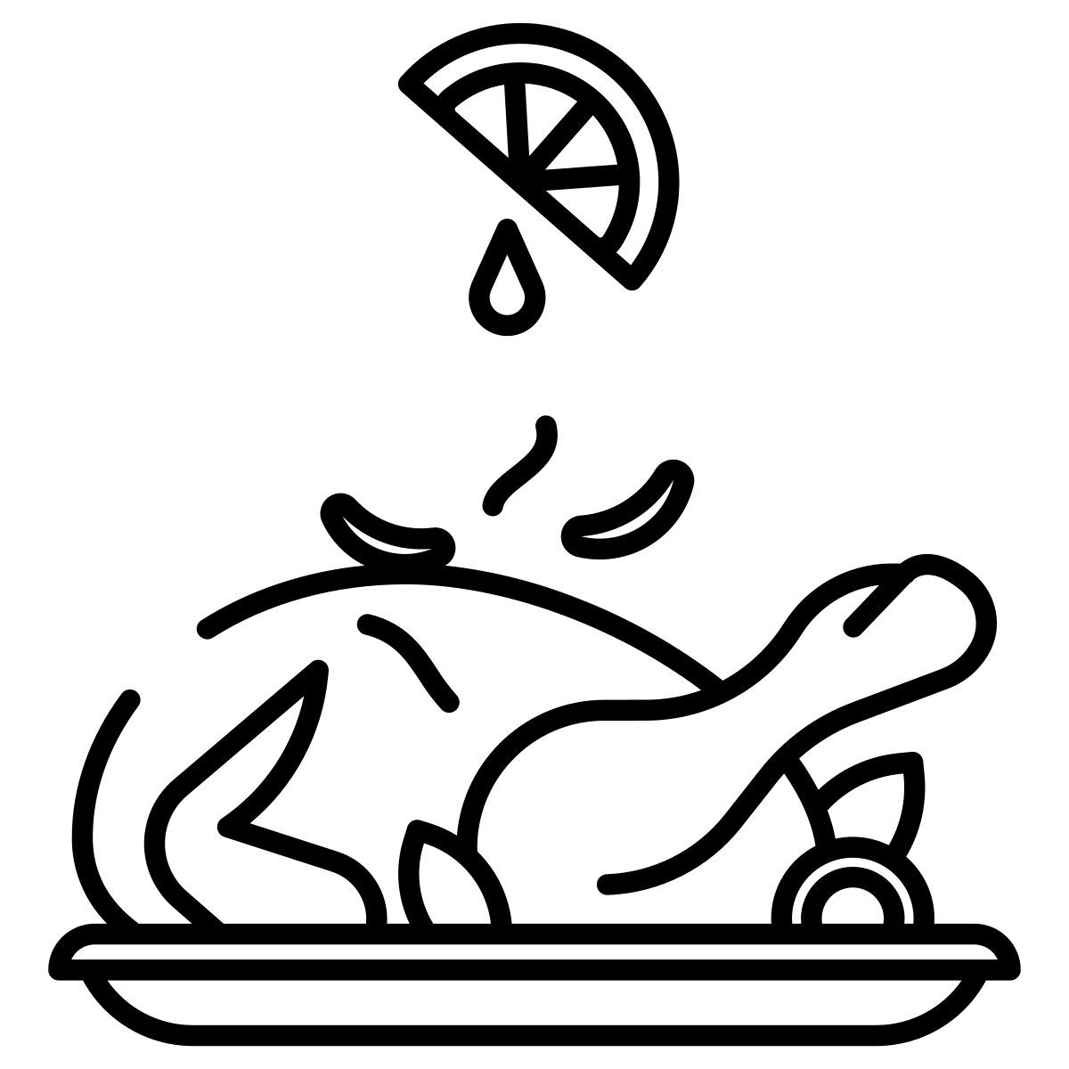 tacchino arrosto icon