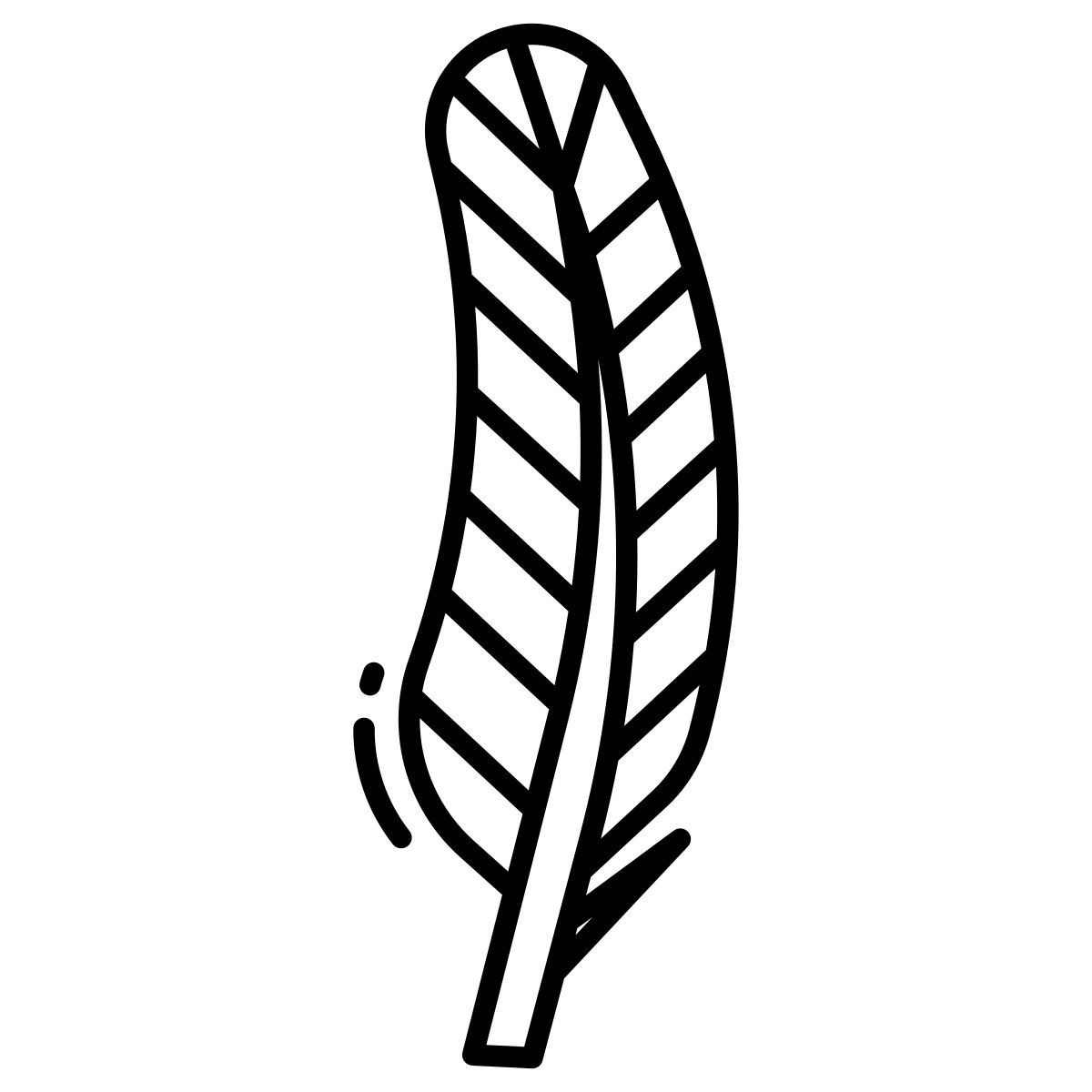 robin feather icon