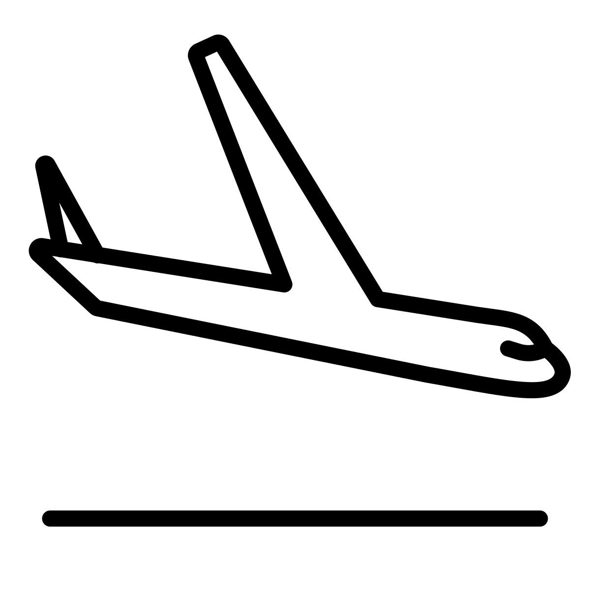 airplane icon