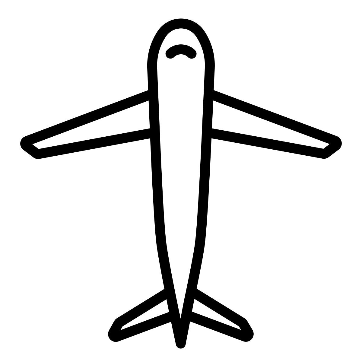 airplane icon