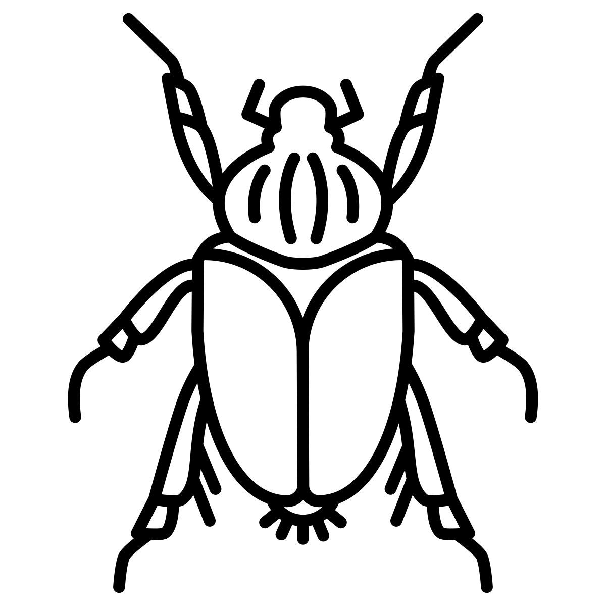 beetle icon
