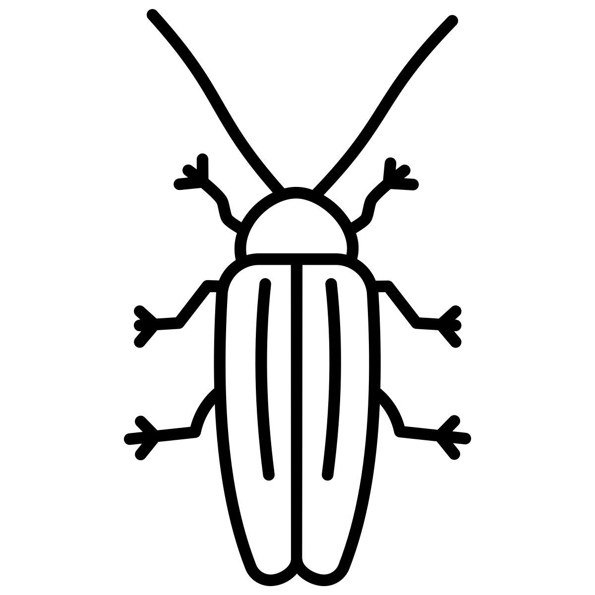 beetle icon