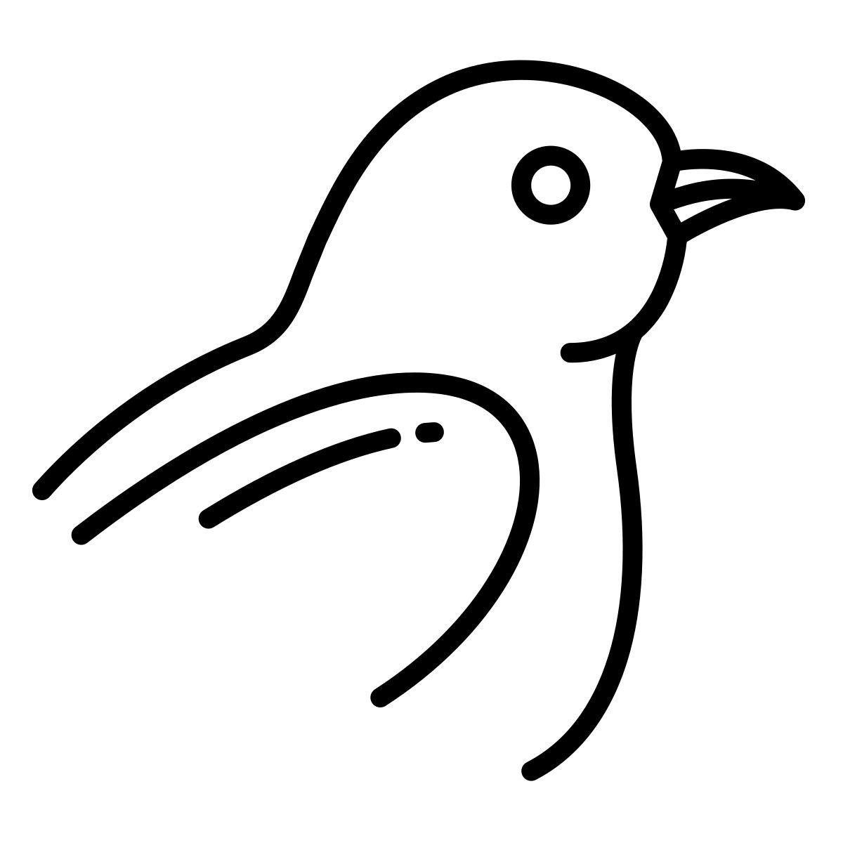 bird icon