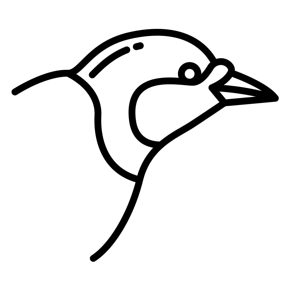 bird icon
