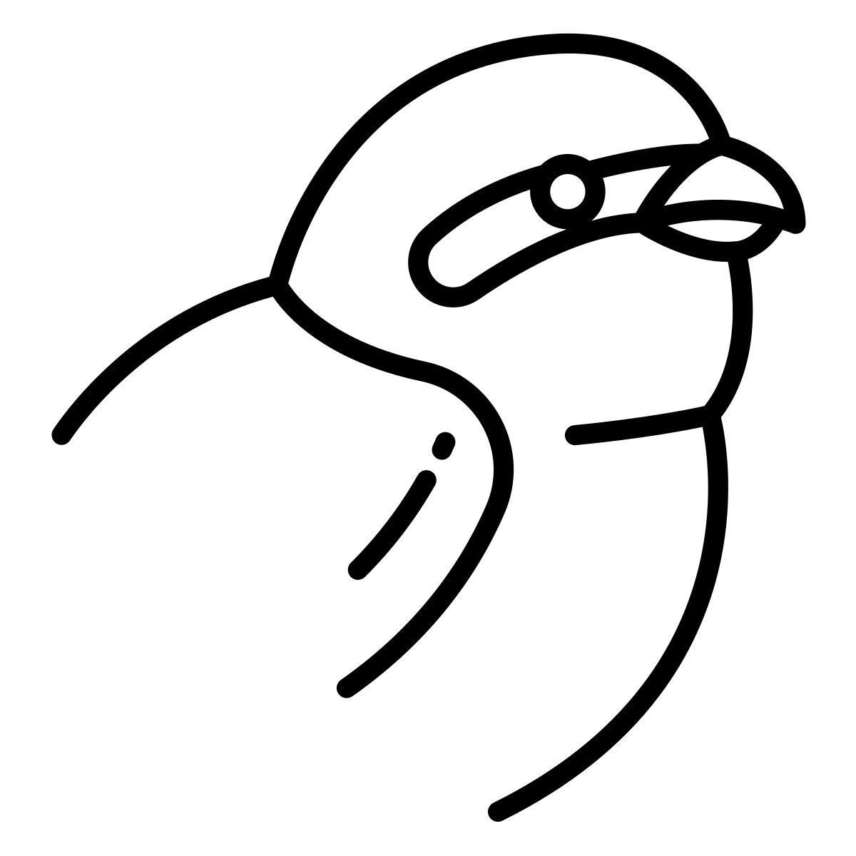 bird icon