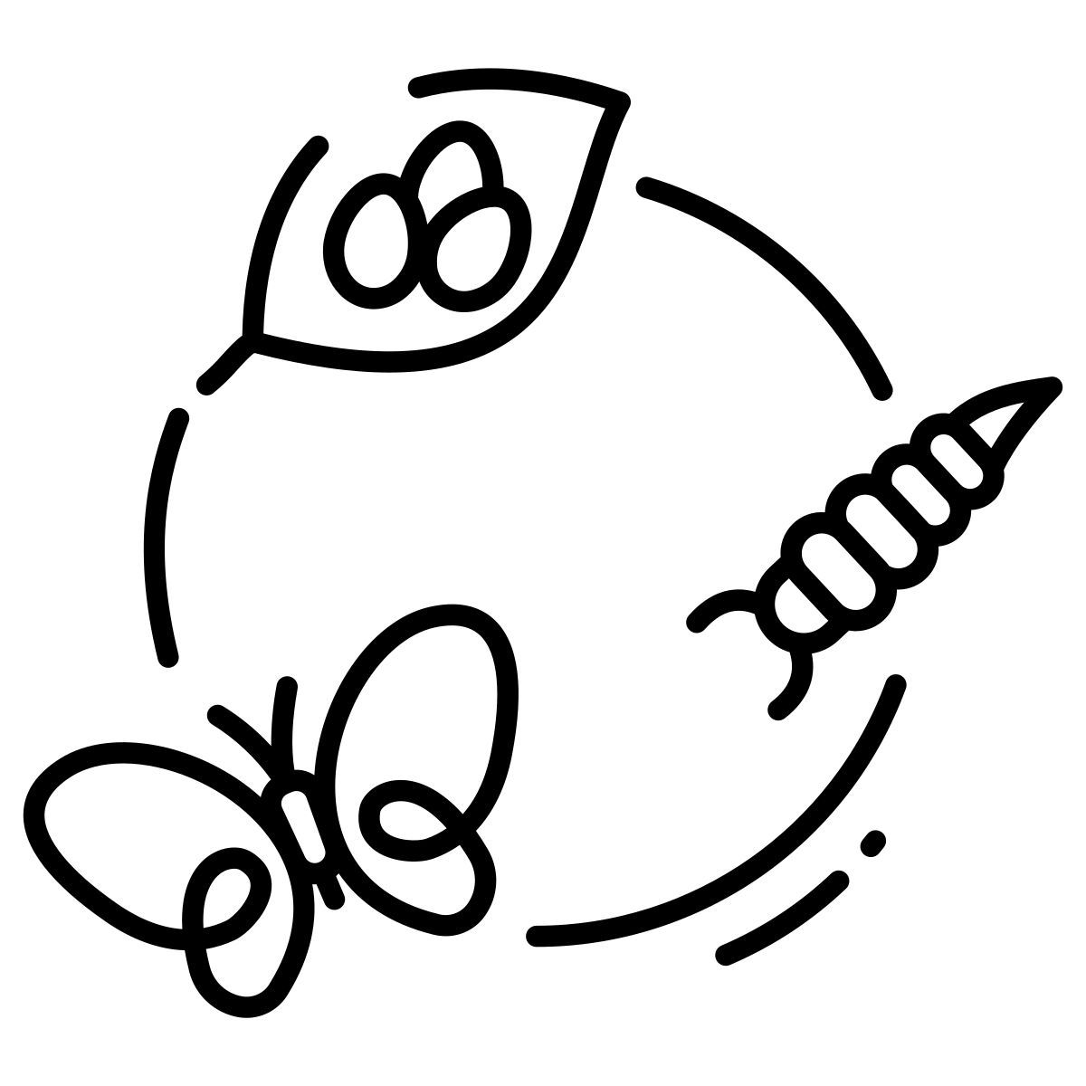 butterfly icon
