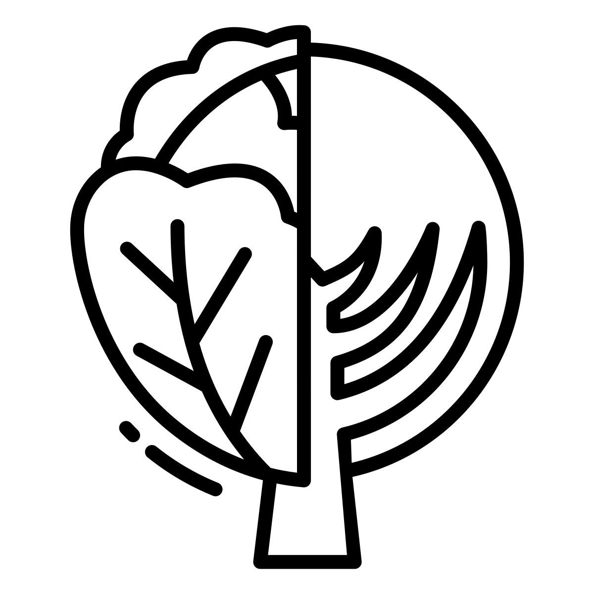 cabbage icon