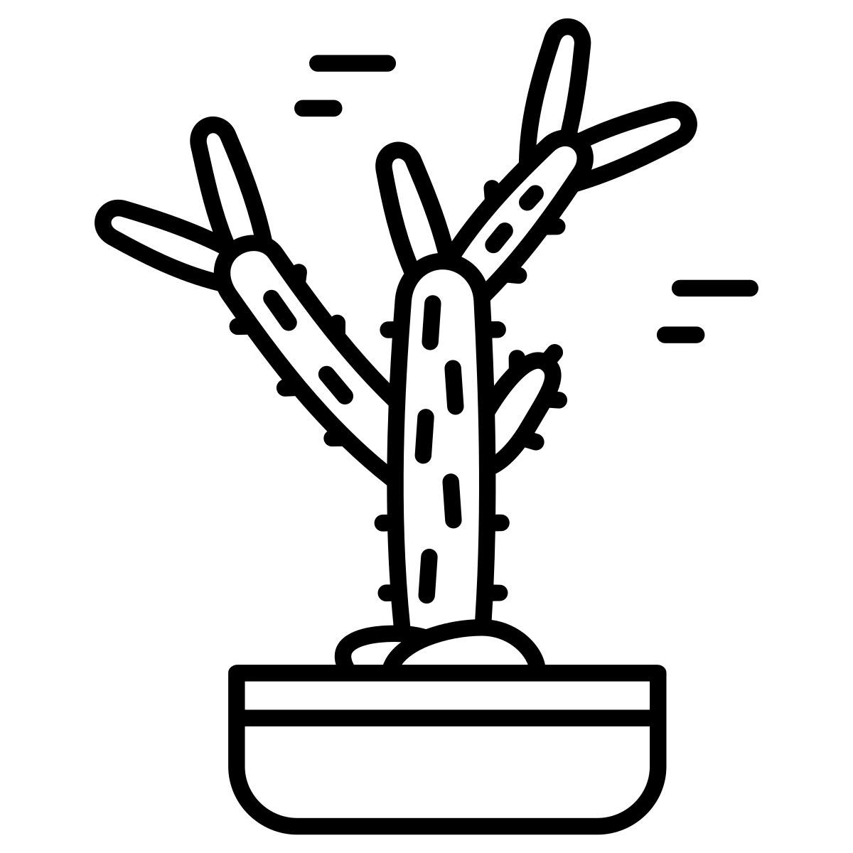 cactus icon