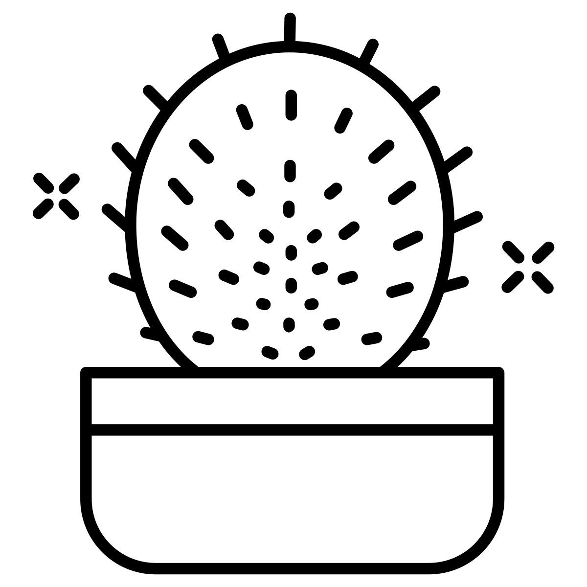 cactus icon