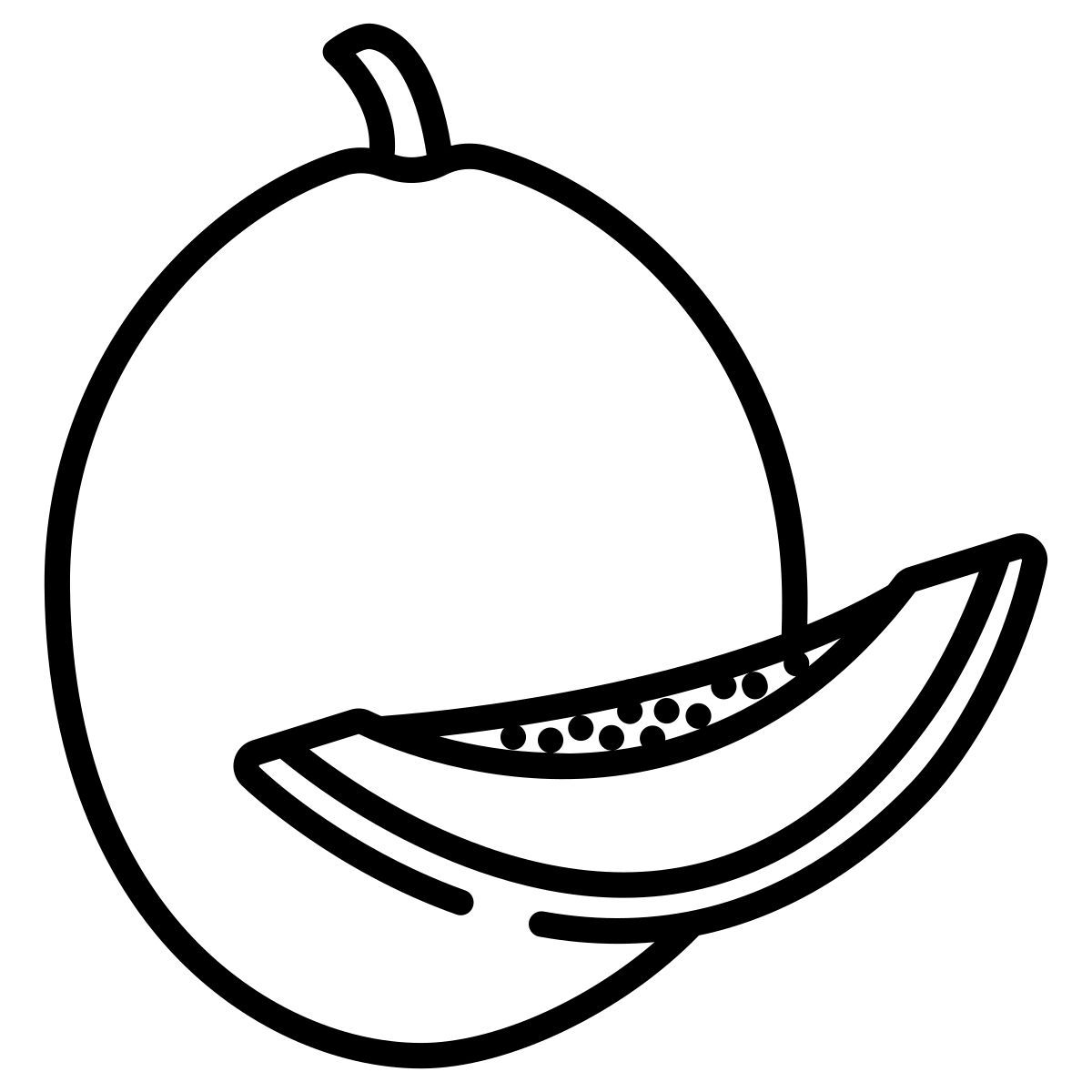 cantaloupe icon