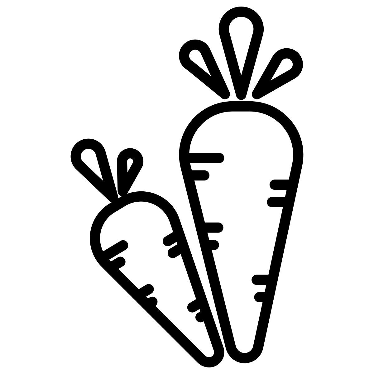 carrots icon