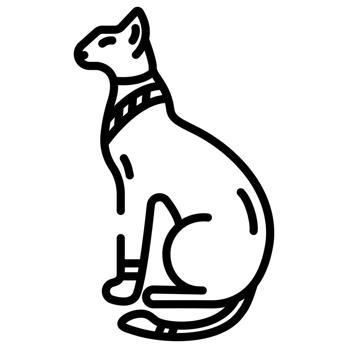 cat icon