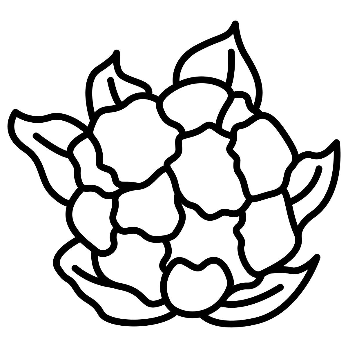 cauliflower icon