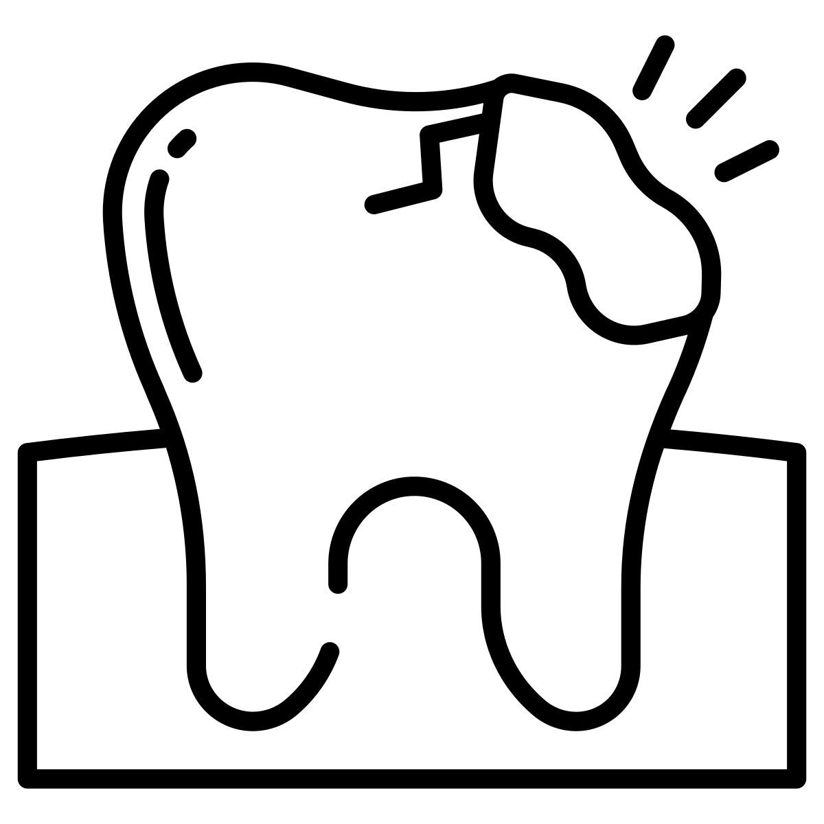 cavidade icon