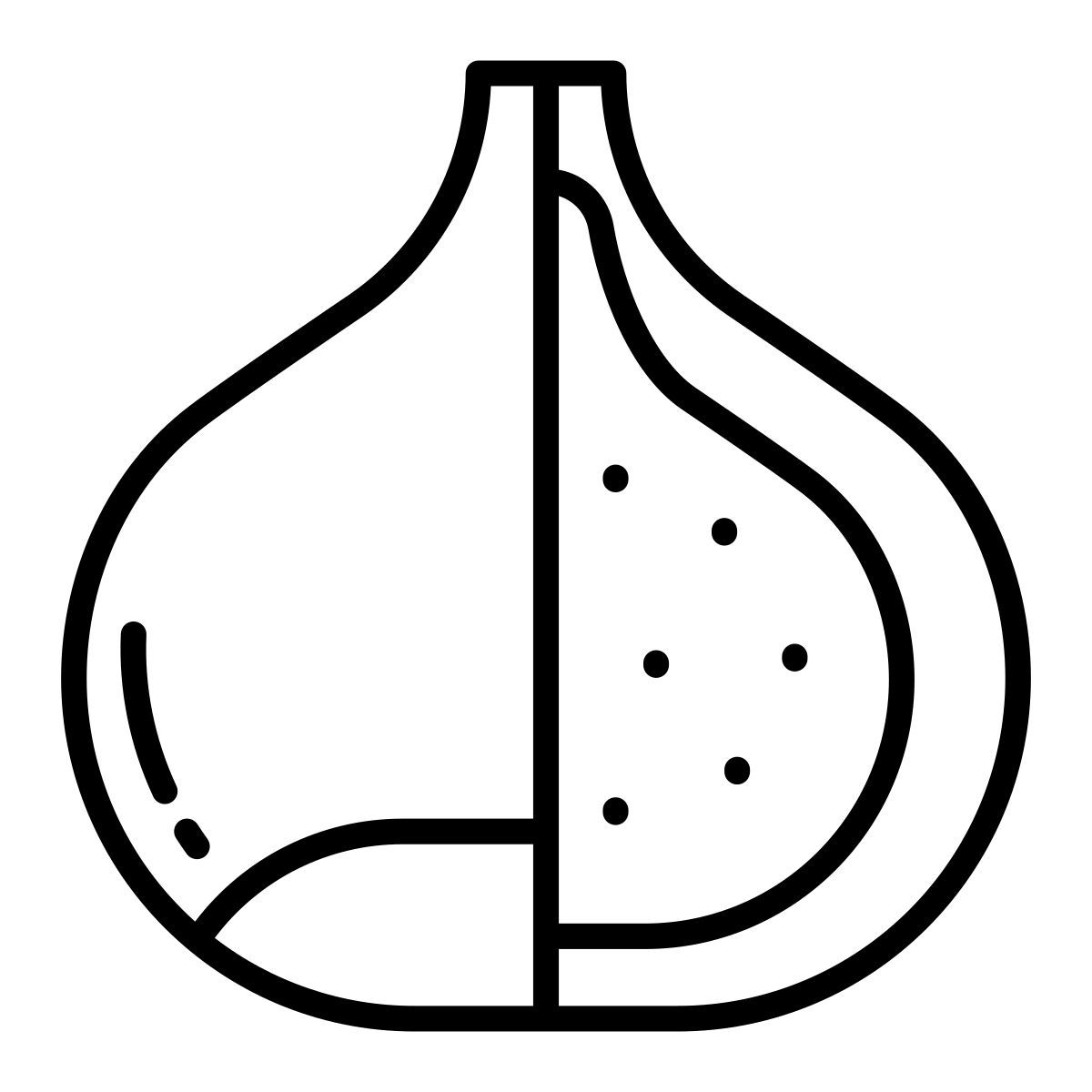 castanha icon