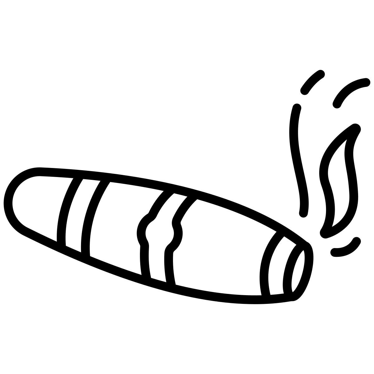 cigar icon