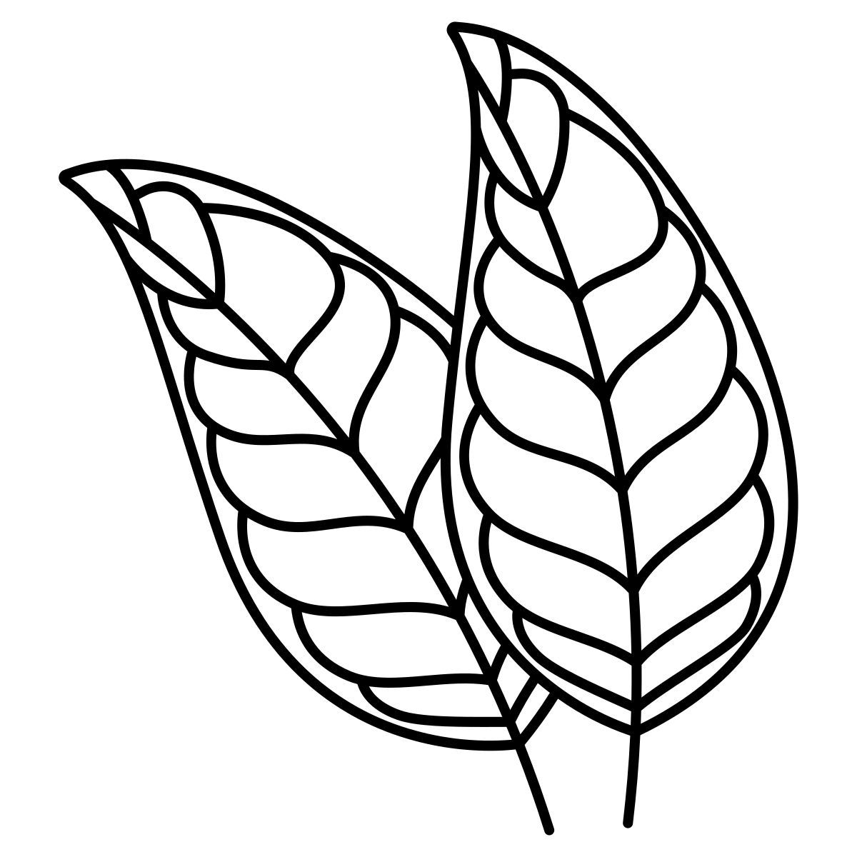 citrus icon