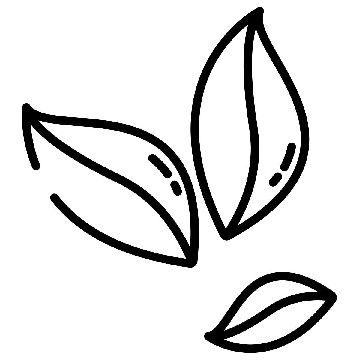 kokablätter icon