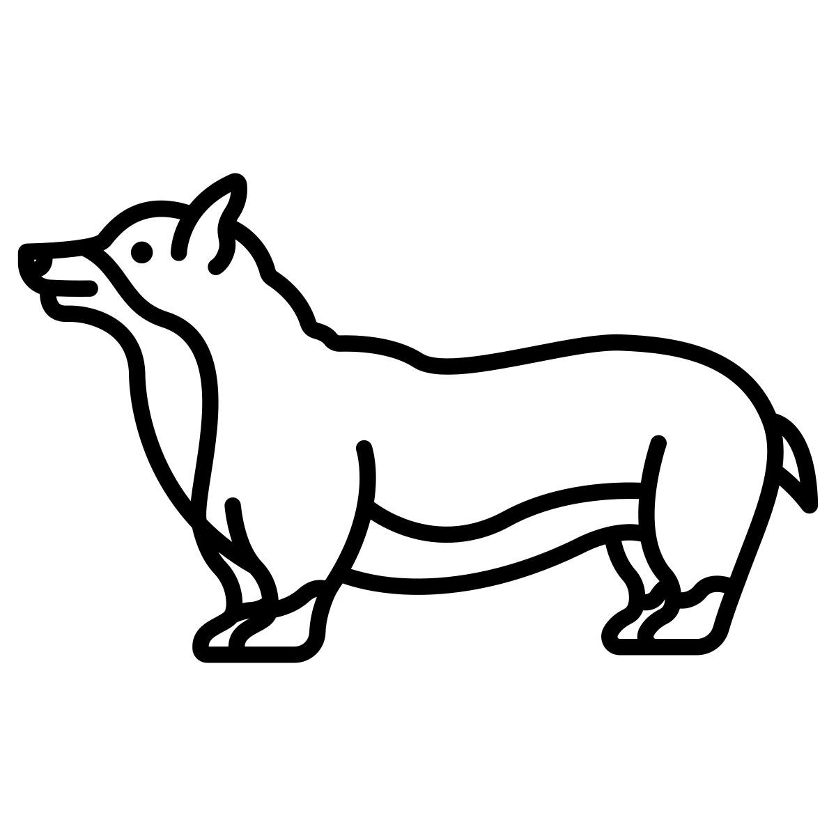 corgi icon