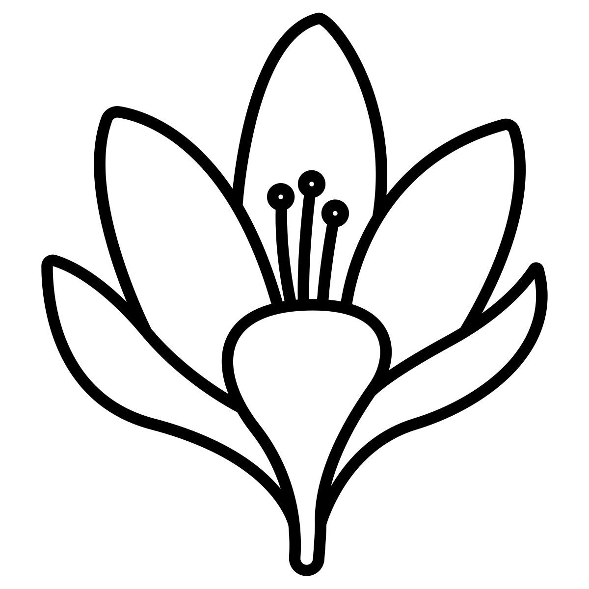 crocus icon