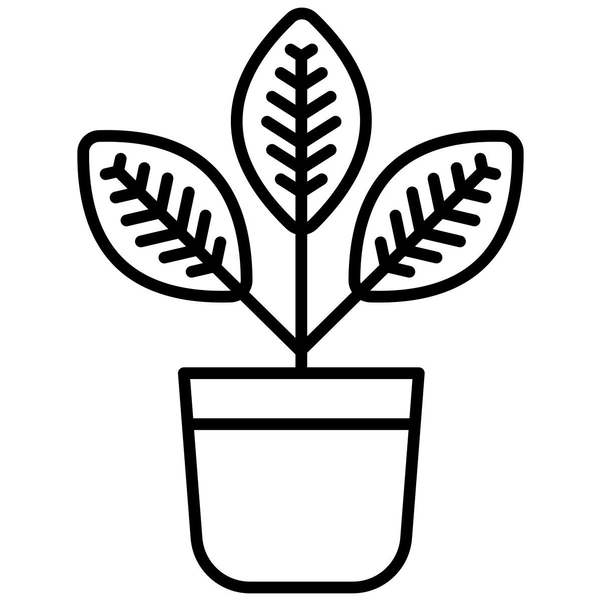 croton icon