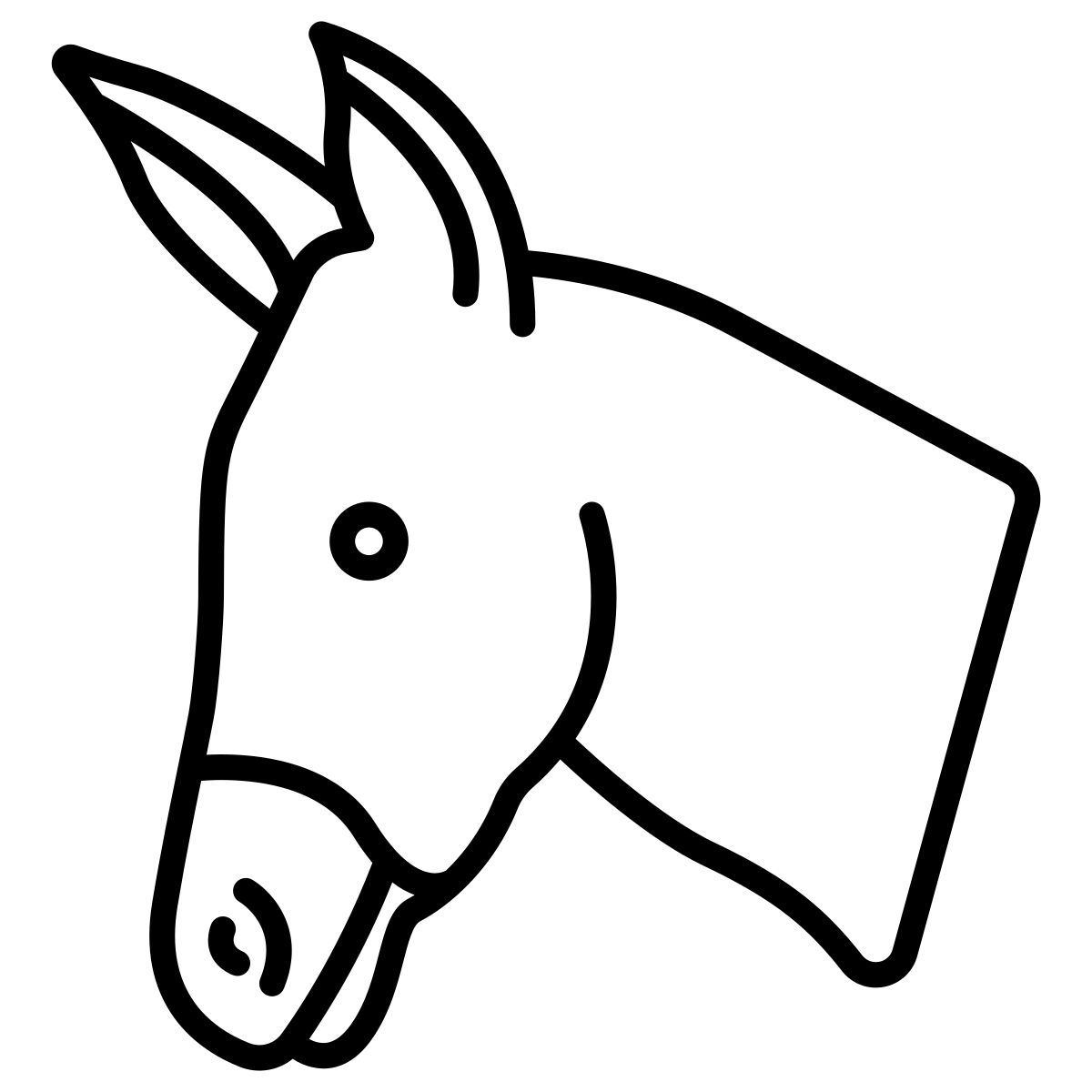 asino icon