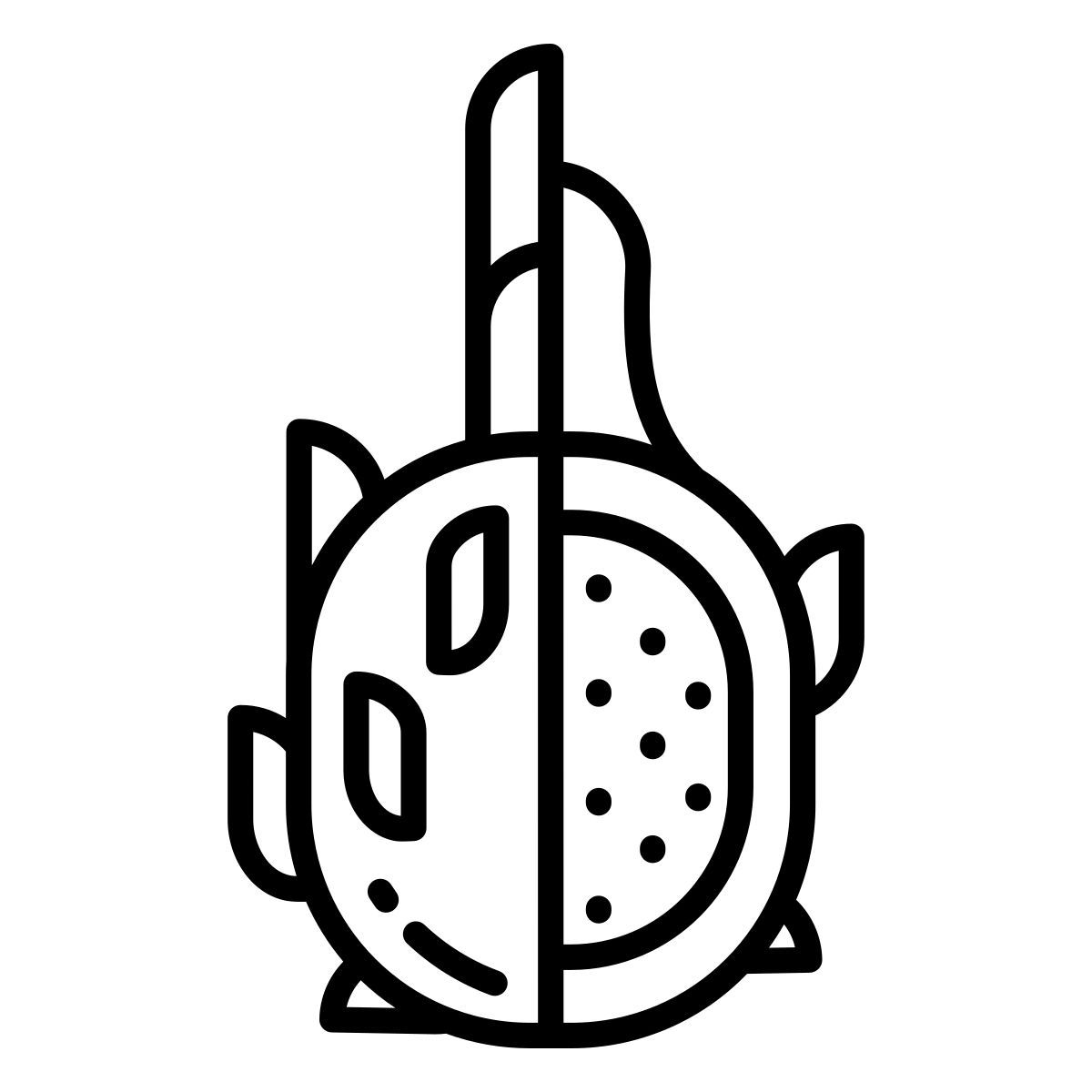 dragon fruit icon