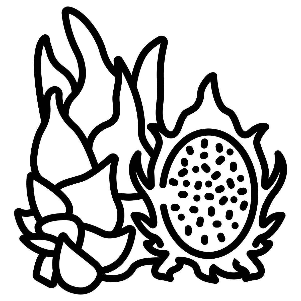 드래곤 과일 icon