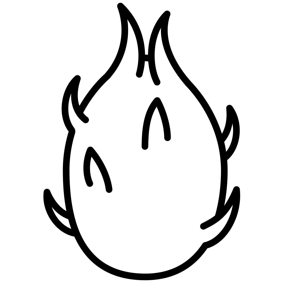 드래곤 과일 icon