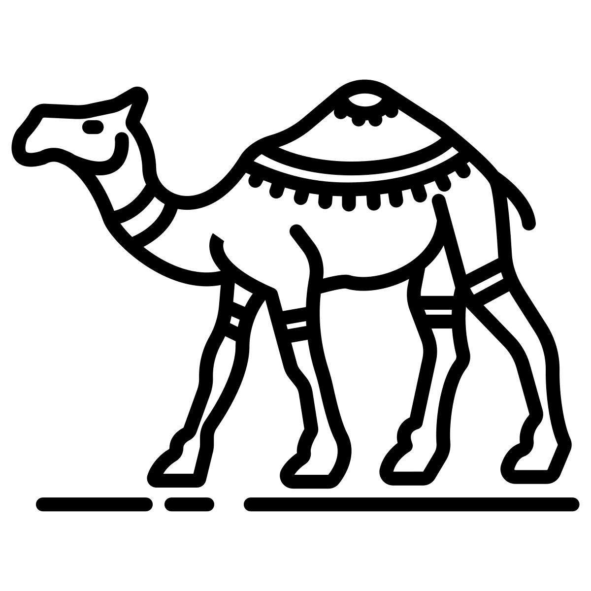 dromedary icon