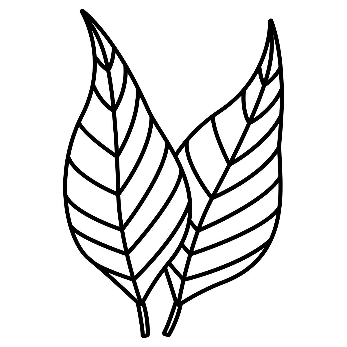 eucalyptus icon