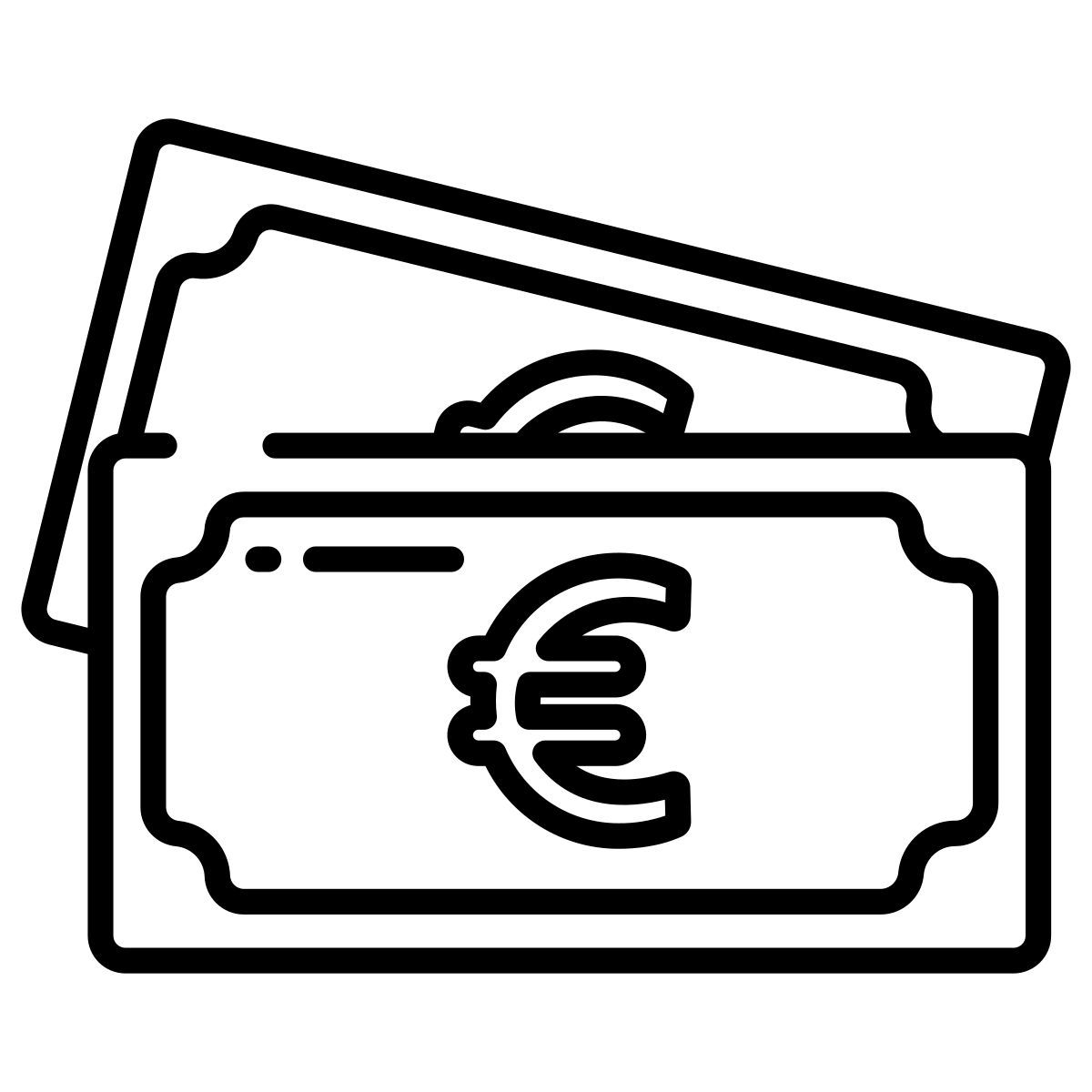 euro money icon