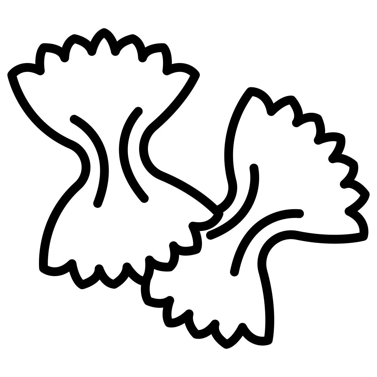 farfalle icon