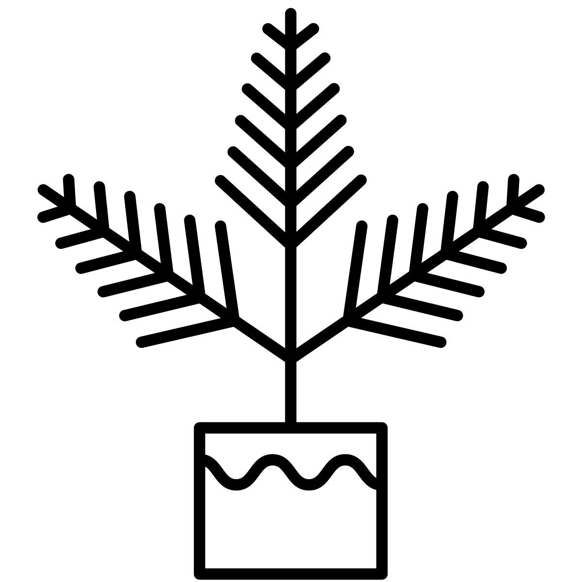 fern icon