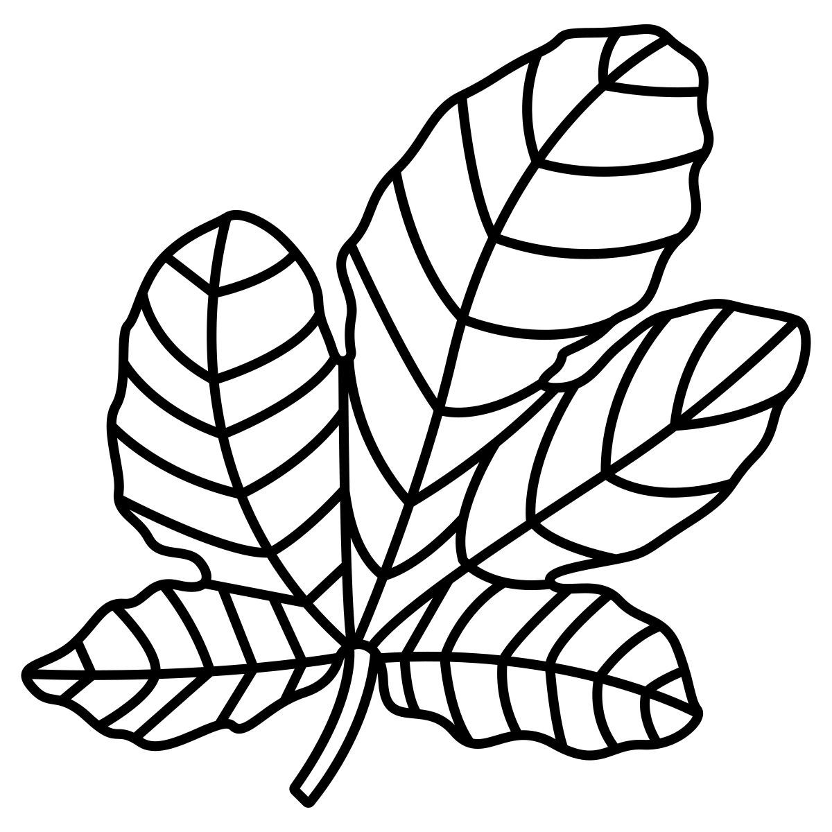 figue icon