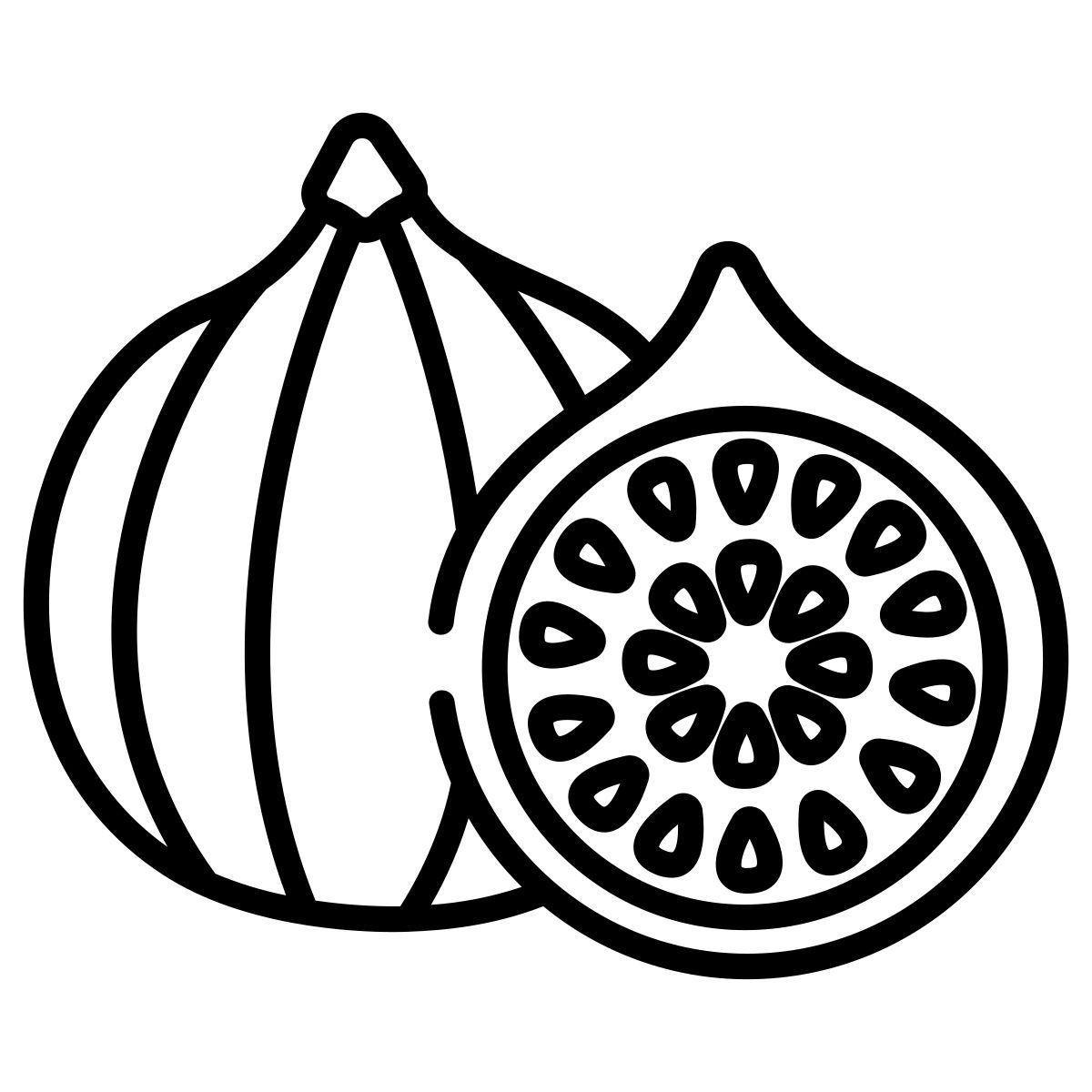 无花果 icon