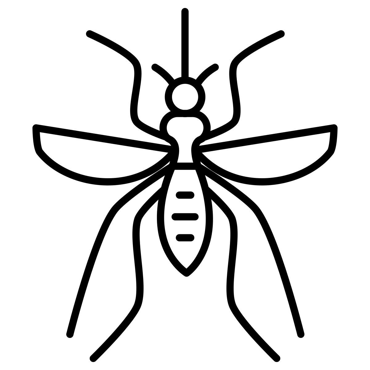fly icon