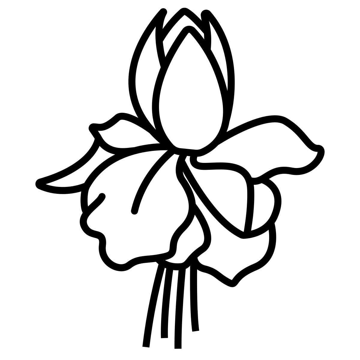 fuchsia icon