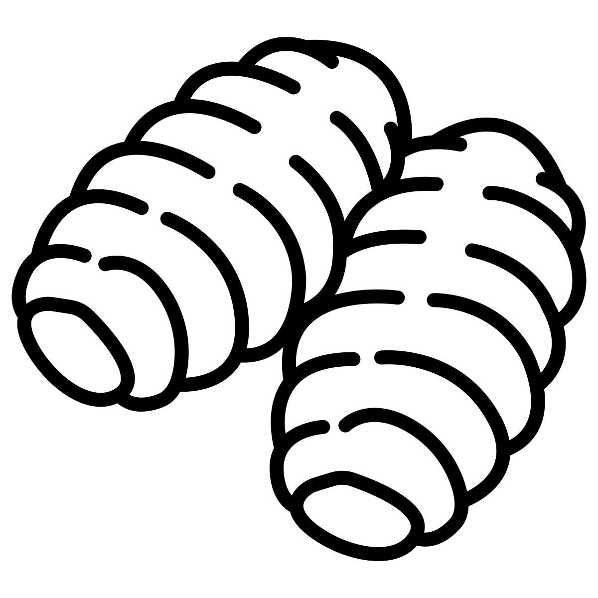 gnocchi icon