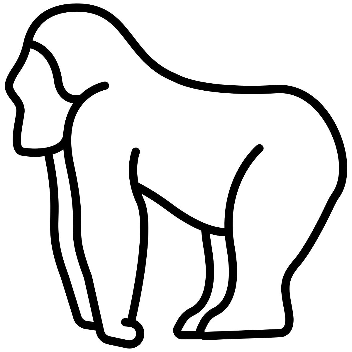 gorila icon