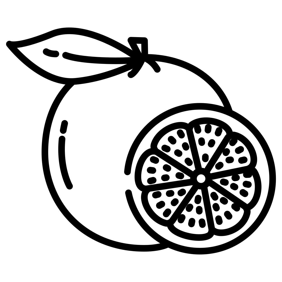 toranja icon