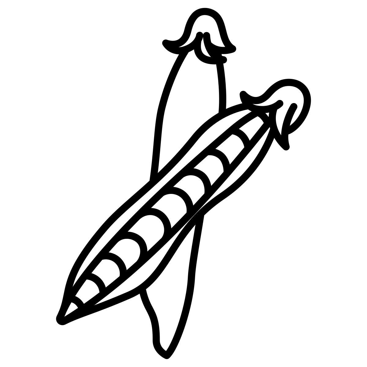 green pea icon